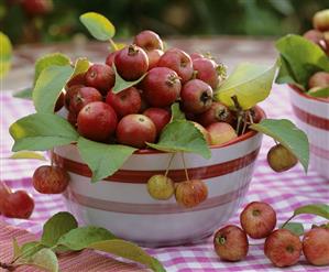 A bowl of crab-apples