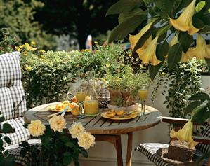 Balcony table with peaches and peach juice