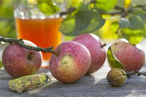 Apples, walnut & fermented apple juice on wooden table outside