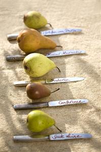 Pears with variety names