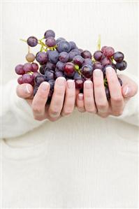 Hands holding red grapes