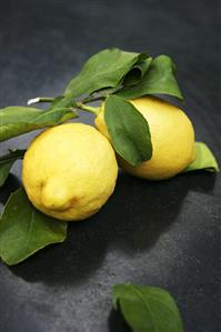 Two lemons with leaves