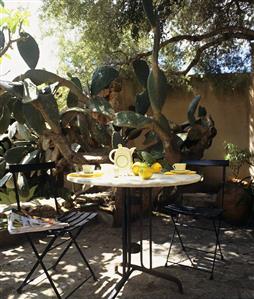 Garden table with lemons and tea