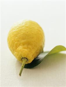 Citron with leaf