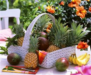 Basket of pineapples & mangos, flowering hibiscus in background