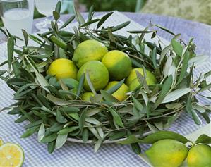 Olive wreath with limes