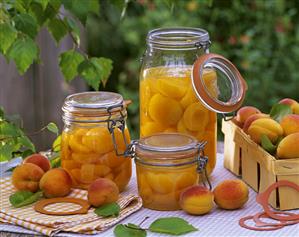 Apricot compote and fresh apricots