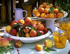 Nectarines and apricots in bowls