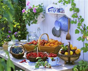 Still life with freshly picked fruit and berries