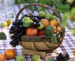 Basket of plums and grapes