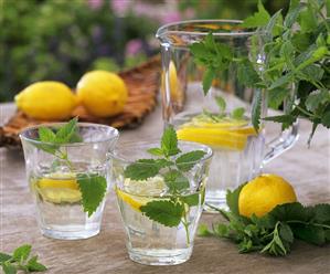 Mineral water with lemon balm and slices of lemon