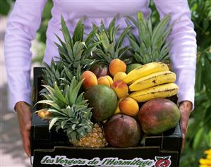 Box of assorted exotic fruit