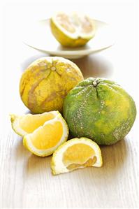 Green and yellow ugli fruit (citrus fruit)