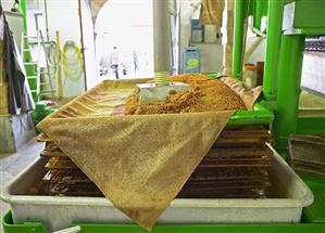 Pressing apple pulp in a cider press