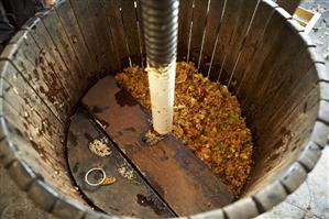 Apple pulp in historic wooden press