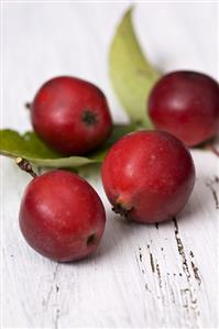 Crab apples