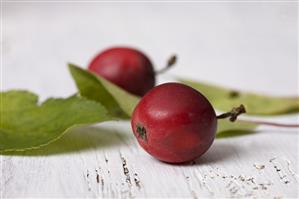 Crab apples with leaves