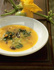 Zuppa frantoiana (Vegetable and herb soup), Tuscany, Italy