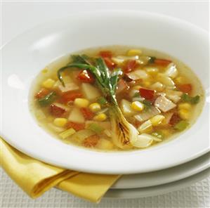 Vegetable soup with knuckle of pork and spring onion