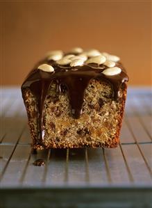 Apricot almond cake with chocolate icing