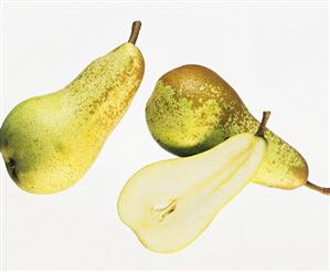 Pears (variety: Abate Fetel)