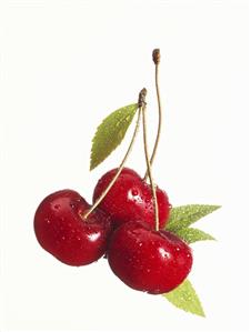 Three sweet cherries with drops of water