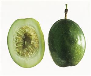 Green passion fruit