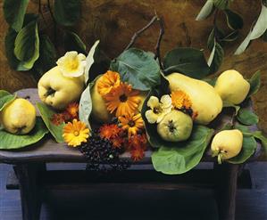 Quinces, marigolds, elderberries, nasturtiums