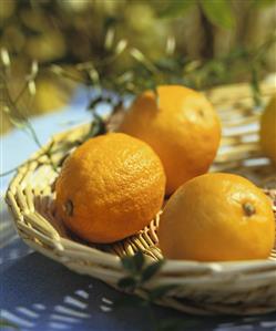 Lemons in a basket