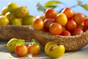 Mirabelles in wooden bowls