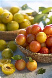 Mirabelles in wooden bowls