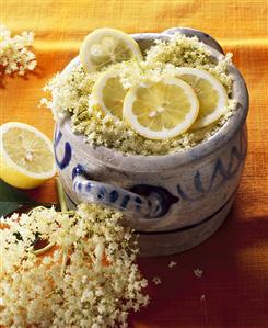 Elderflower lemonade