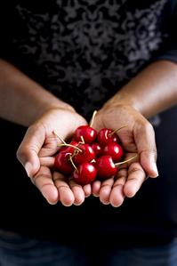 Hands holding fresh cherries