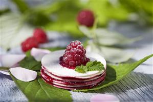 Stacked wafers with raspberry jelly