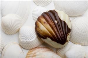 Sea shells with Belgian chocolate sea shells