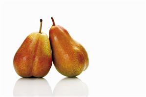 Two Forelle pears leaning against each other