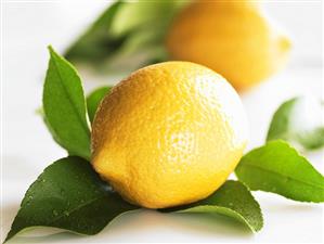 Lemons with leaves