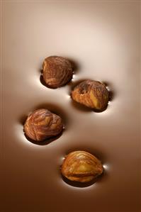 Hazelnuts in chocolate sauce