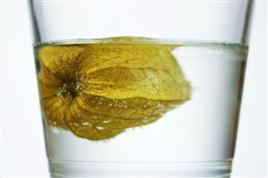 Unopened physalis in a glass of water