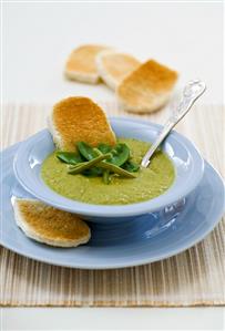 Cream of pea soup with toast