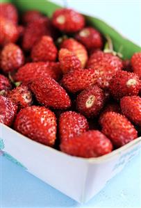 Wild strawberries in a cardboard punnet