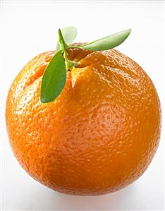 An orange with leaves