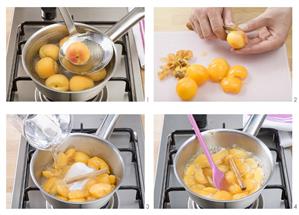 Making apricot and peach compote