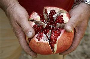 Hands holding a split pomegranate