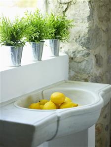 Lemons in white marble sink