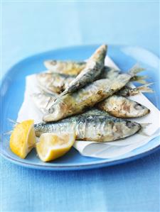 Sardines baked on sea salt with lemon