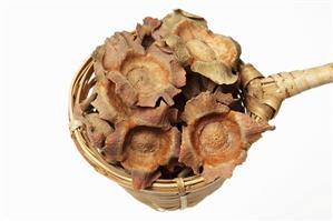 Dried persimmon calyxes in a tea strainer