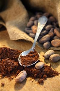 Cocoa beans and cocoa powder