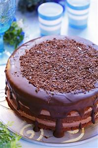 Chocolate sponge cake