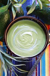 Cream of avocado soup